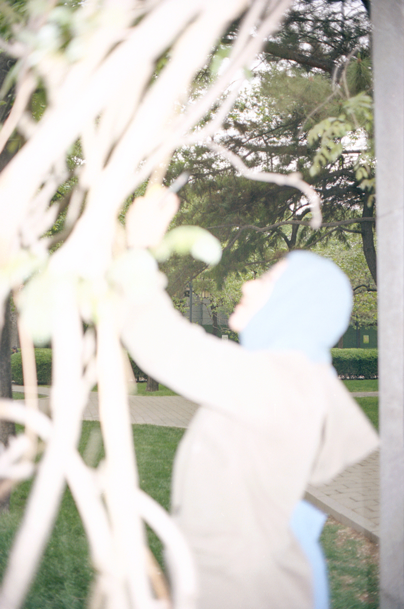 Very high contrast photo of a person reaching towards what looks like plants or branches. Superimposed over a background of a park on a sunny day